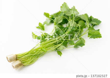 白背景に三つ葉の束 137182327