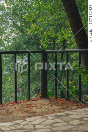 cherry blossom flower fall on floor cherry blossom flower fall on floor 137182428