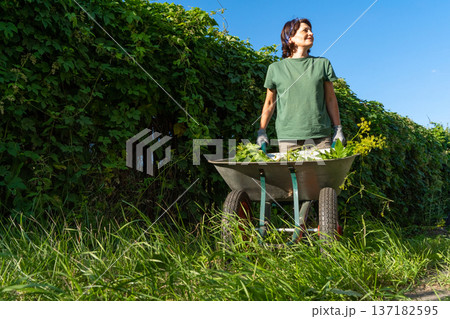 Female gardener with wheelbarrow in lush garden on sunny day Female gardener with wheelbarrow in lush garden on sunny day 137182595