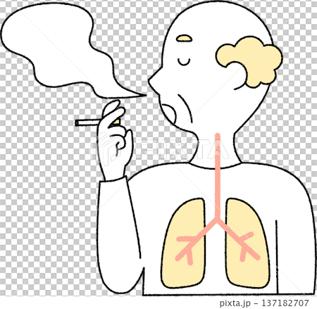 タバコを吸うシニア男性の煙と肺単色 137182707