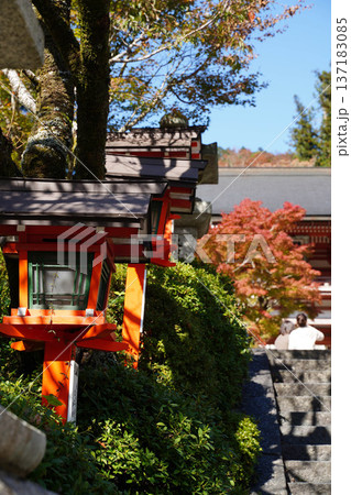秋の京都鞍馬寺の参道の風景 137183085