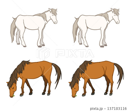 色々な在来馬 色々な在来馬 137183116