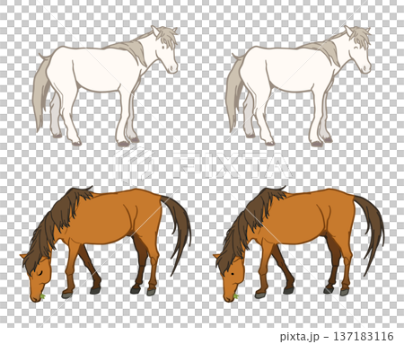 各種本地馬 137183116