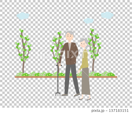 散歩するシニア夫婦 137183151