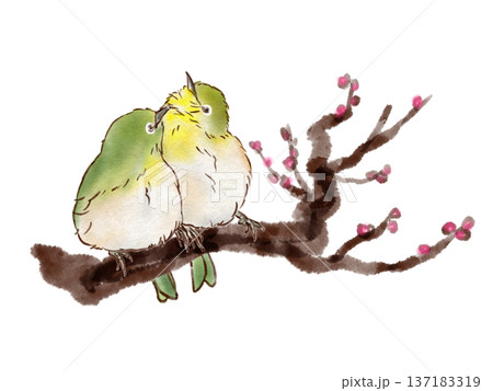 梅の枝で寄り添うメジロ(墨ペン水彩風) 梅の枝で寄り添うメジロ(墨ペン水彩風) 137183319