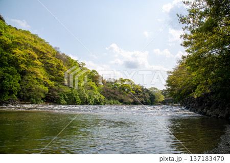 三重県　伊勢市　伊勢神宮　朝の宇治橋と五十鈴川 137183470