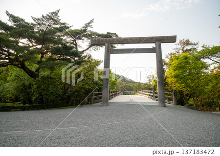 三重県　伊勢市　伊勢神宮　朝の宇治橋と鳥居 137183472