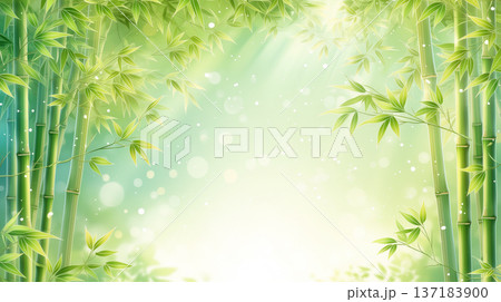 光が降り注ぐ新緑の竹林背景イラスト 光が降り注ぐ新緑の竹林背景イラスト 137183900