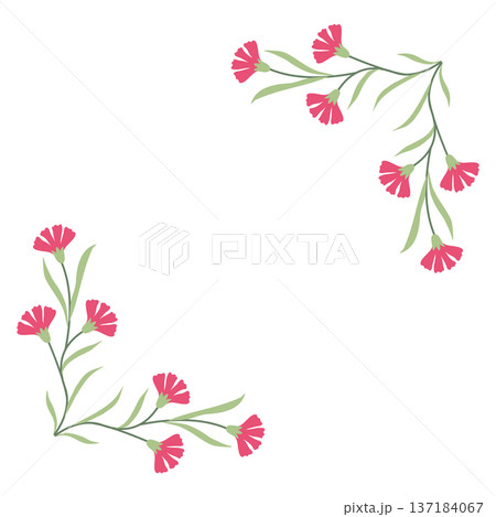 Pink Carnation Floral Frame Vector Illustration in Flat Minimal Style, Botanical Border Composition for Wedding Card Invitation Design 137184067