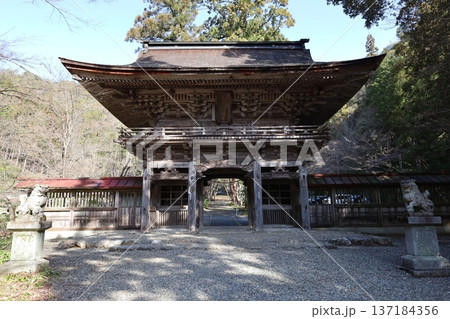 大矢田神社 137184356