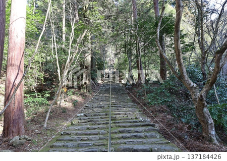 大矢田神社参道 大矢田神社参道 137184426