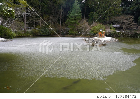 浄瑠璃寺雪景色 浄瑠璃寺雪景色 137184472