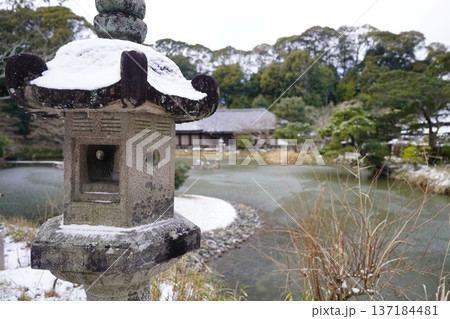 浄瑠璃寺雪景色 浄瑠璃寺雪景色 137184481