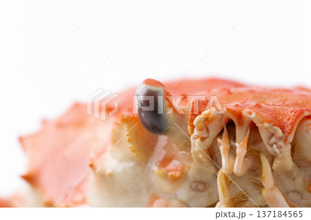 ボイルしたオオズワイガニの顔のクローズアップ ボイルしたオオズワイガニの顔のクローズアップ 137184565