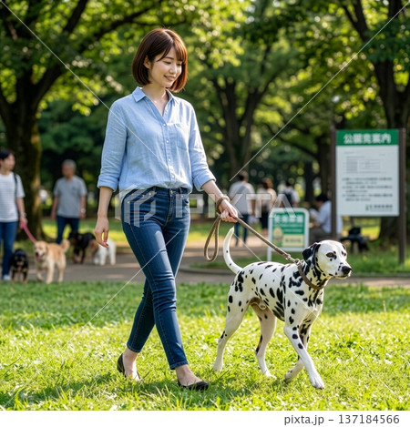 公園を散歩する愛犬と女性 公園を散歩する愛犬と女性 137184566