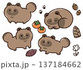 たぬきのイラスト 137184662