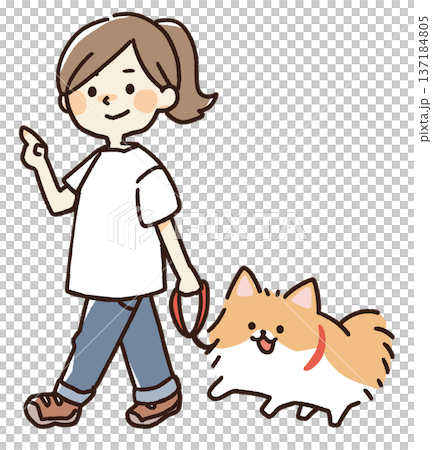 犬の散歩をする女性のイラスト 137184805