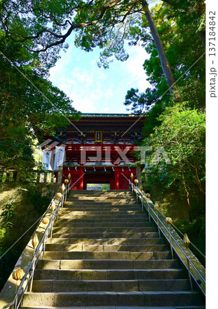 久能山東照宮　楼門　静岡市 137184842