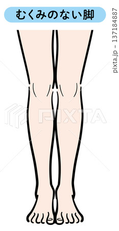 むくみのない脚 137184887