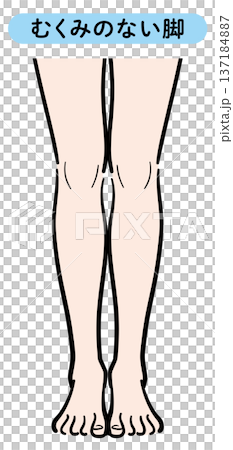 むくみのない脚 137184887