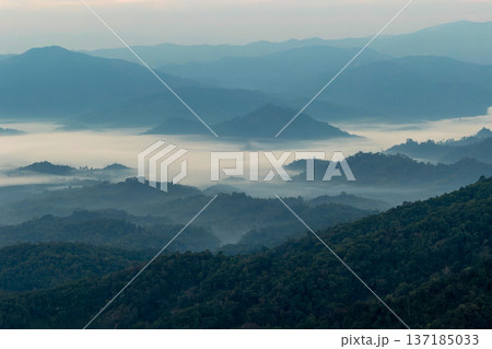 Serene mountain landscape with a sea of fog in the deep valleys at dawn. 137185033