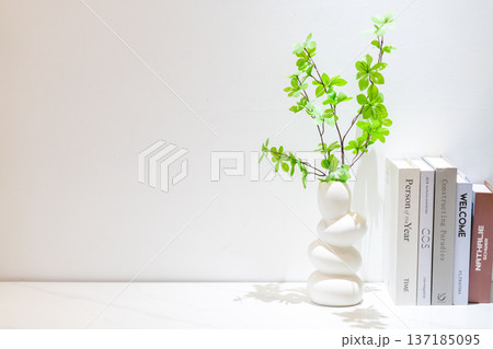 白を基調としたミニマルな室内インテリアとグリーンのある暮らし 白を基調としたミニマルな室内インテリアとグリーンのある暮らし 137185095