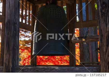 秋の岩手県平泉 紅葉の世界遺産毛越寺 鐘楼堂 秋の岩手県平泉 紅葉の世界遺産毛越寺 鐘楼堂 137185217