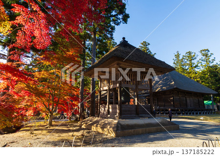秋の岩手県平泉 紅葉の世界遺産毛越寺 鐘楼堂 秋の岩手県平泉 紅葉の世界遺産毛越寺 鐘楼堂 137185222