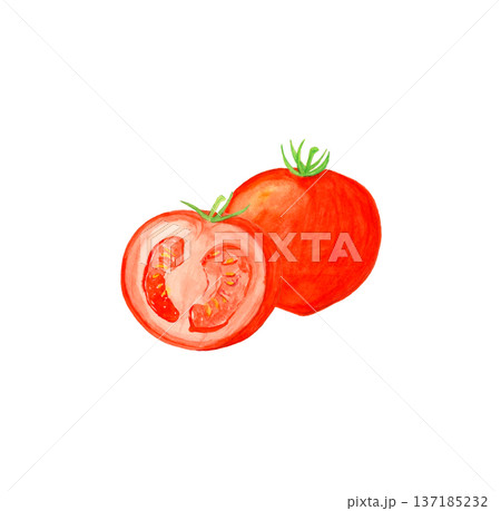手描き水彩のトマト丸ごととカット断面イラスト素材 137185232