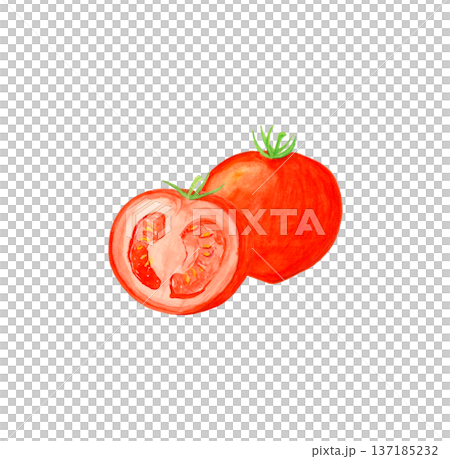 手描き水彩のトマト丸ごととカット断面イラスト素材 137185232