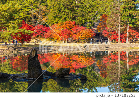 秋の岩手県平泉 紅葉の世界遺産毛越寺 浄土庭園 秋の岩手県平泉 紅葉の世界遺産毛越寺 浄土庭園 137185253