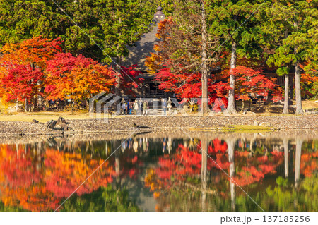 秋の岩手県平泉 紅葉の世界遺産毛越寺 浄土庭園 秋の岩手県平泉 紅葉の世界遺産毛越寺 浄土庭園 137185256