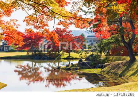 秋の岩手県平泉　紅葉の世界遺産　観自在王院跡 137185269