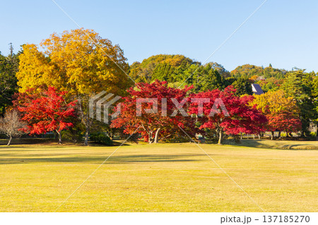 秋の岩手県平泉　紅葉の世界遺産　観自在王院跡 137185270