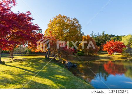 秋の岩手県平泉 紅葉の世界遺産 観自在王院跡 秋の岩手県平泉 紅葉の世界遺産 観自在王院跡 137185272