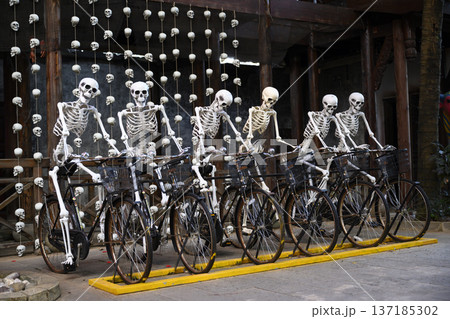 Figures of funny smiling skeletons on bicycles in the city park in Sanya in China Figures of funny smiling skeletons on bicycles in the city park in Sanya in China 137185302