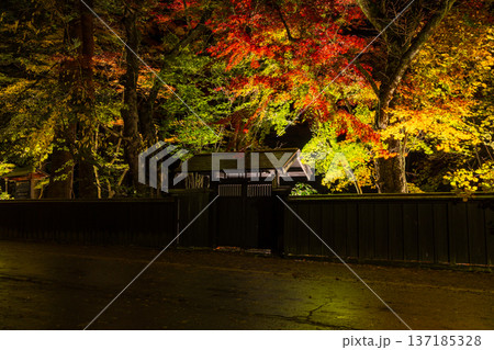 秋の秋田県角館　紅葉の武家屋敷通り　夜間ライトアップ 137185328