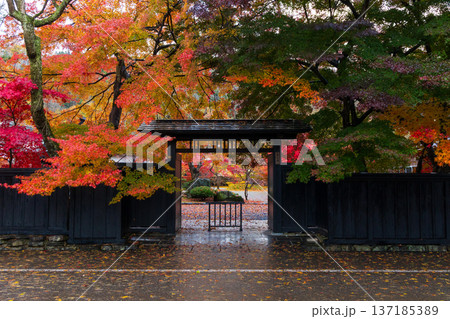 秋の秋田県角館 紅葉の武家屋敷通り 秋の秋田県角館 紅葉の武家屋敷通り 137185389