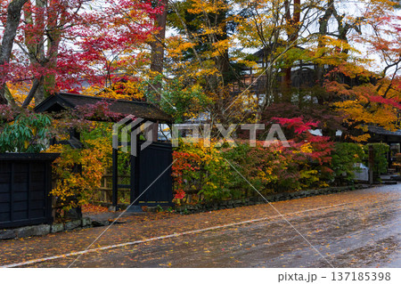 秋の秋田県角館 紅葉の武家屋敷通り 秋の秋田県角館 紅葉の武家屋敷通り 137185398