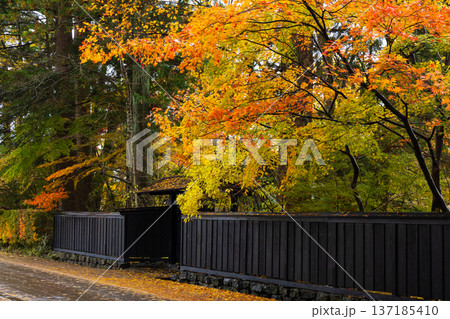 秋の秋田県角館　紅葉の武家屋敷通り 137185410