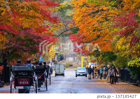 秋の秋田県角館 紅葉の武家屋敷通り 秋の秋田県角館 紅葉の武家屋敷通り 137185427