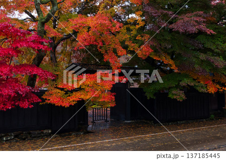 秋の秋田県角館　紅葉の武家屋敷通り 137185445
