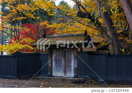 秋の秋田県角館 紅葉の武家屋敷通り 秋の秋田県角館 紅葉の武家屋敷通り 137185449