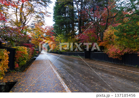 秋の秋田県角館 紅葉の武家屋敷通り 秋の秋田県角館 紅葉の武家屋敷通り 137185456