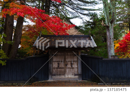 秋の秋田県角館 紅葉の武家屋敷通り 秋の秋田県角館 紅葉の武家屋敷通り 137185475