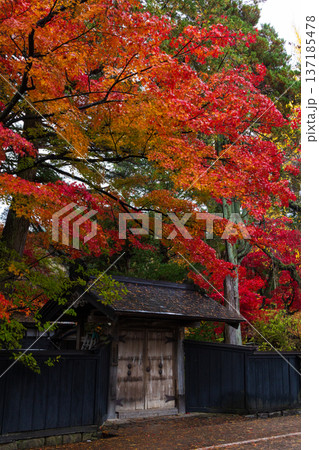 秋の秋田県角館 紅葉の武家屋敷通り 秋の秋田県角館 紅葉の武家屋敷通り 137185478