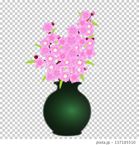花瓶中的桃花插圖 花瓶中的桃花插圖 137185510