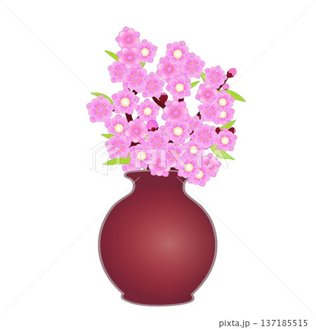 花瓶に活けられた花桃のイラスト 137185515