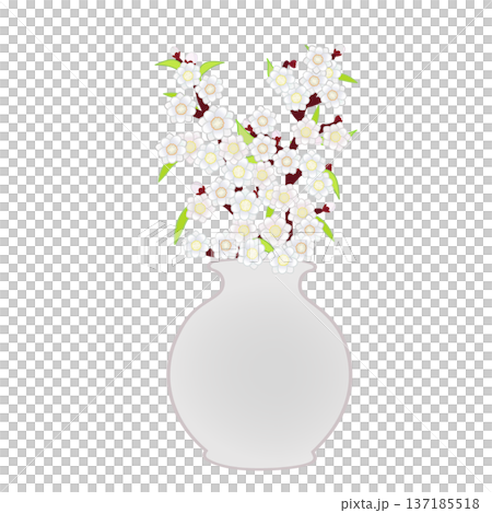 花瓶中的桃花插圖 137185518