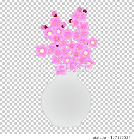 花瓶に活けられた花桃のイラスト 137185524
